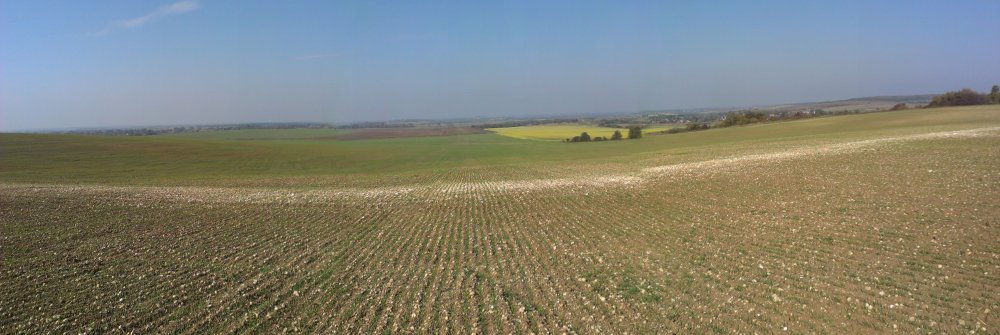 IMAG0249.jpg