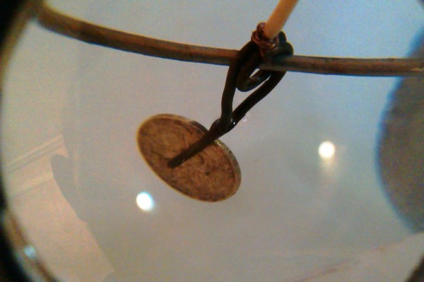IMAG0308.jpg