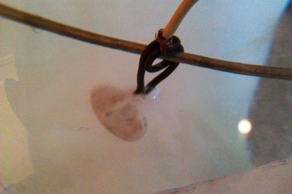 IMAG0309.jpg