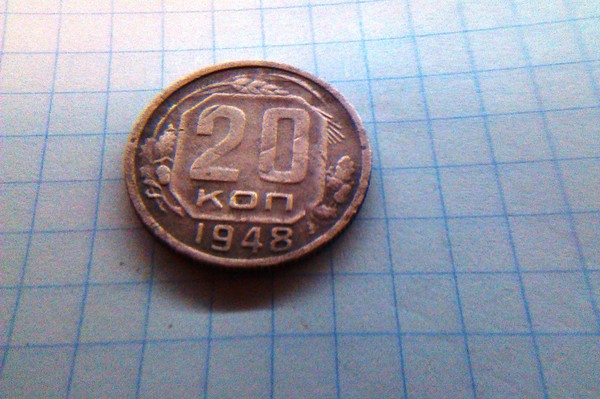 IMAG0313.jpg