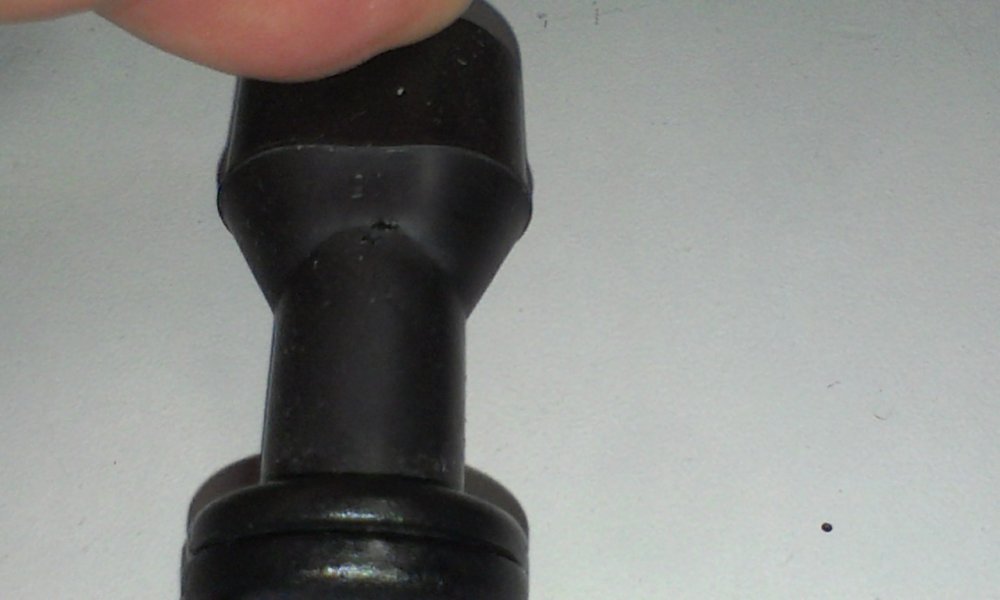 IMAG0317.jpg