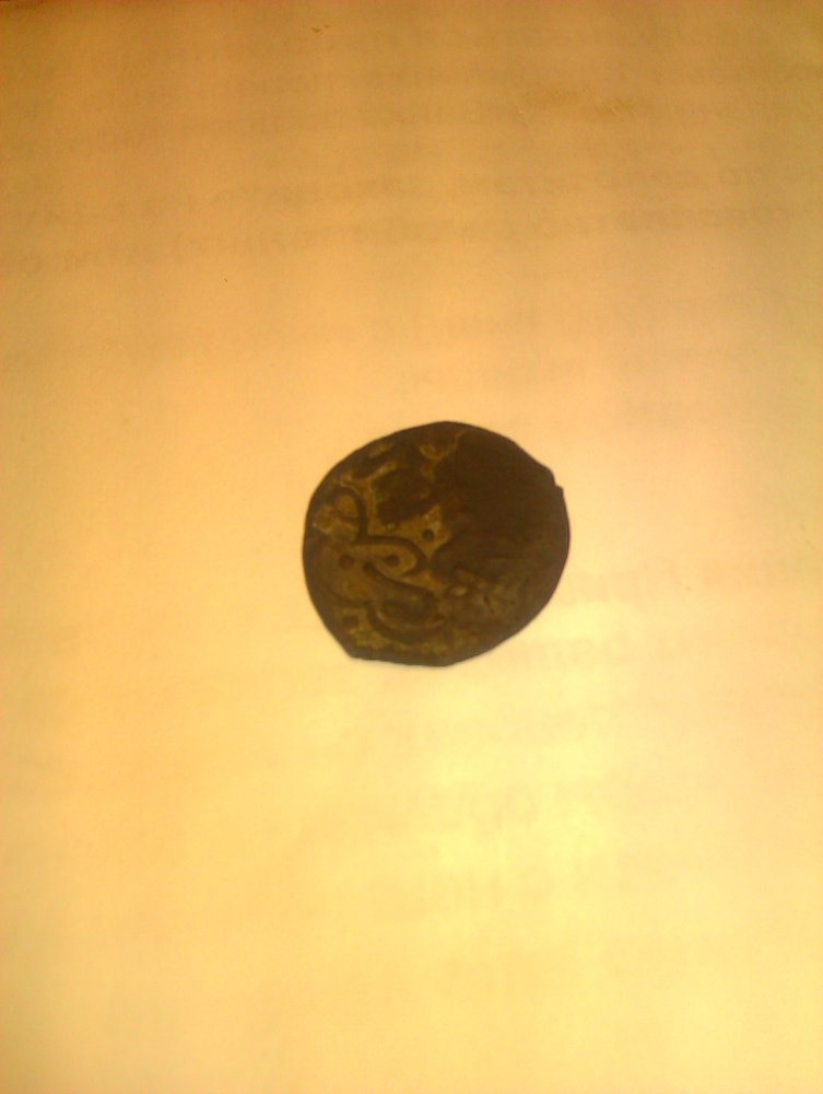 IMAG0336.jpg