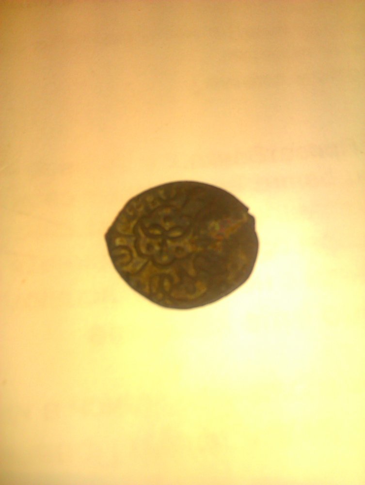 IMAG0337.jpg