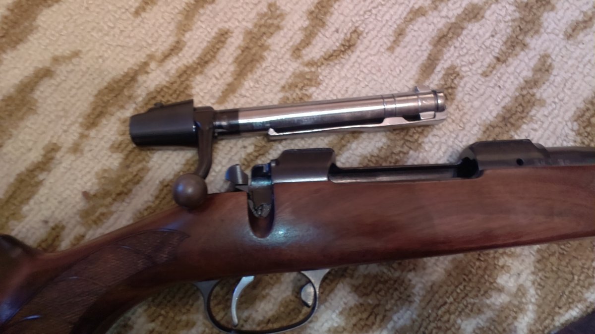 IMAG0337.jpg