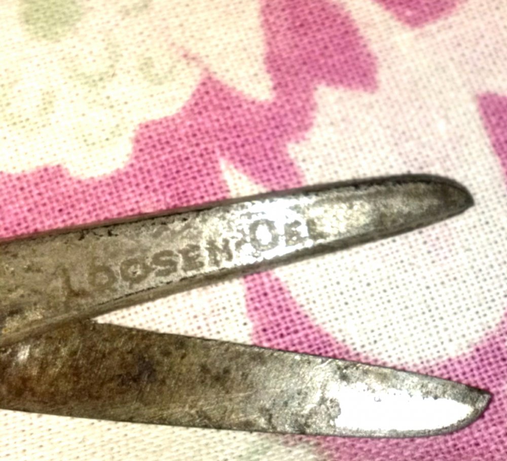 IMAG0433_1.jpg
