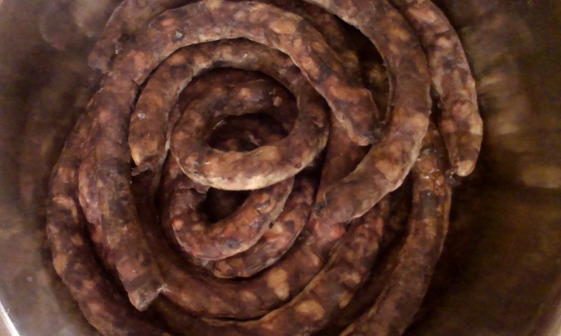 IMAG0433_800.jpg