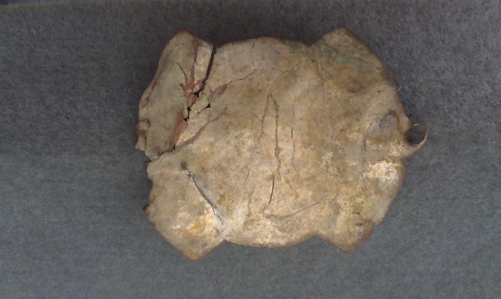 IMAG0476.jpg