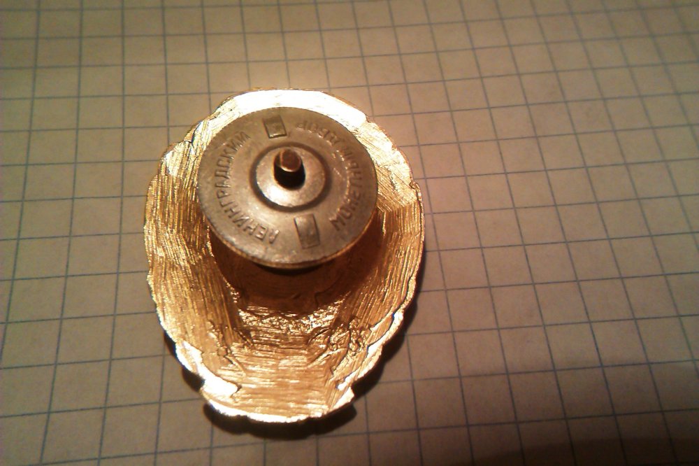 IMAG0531.jpg