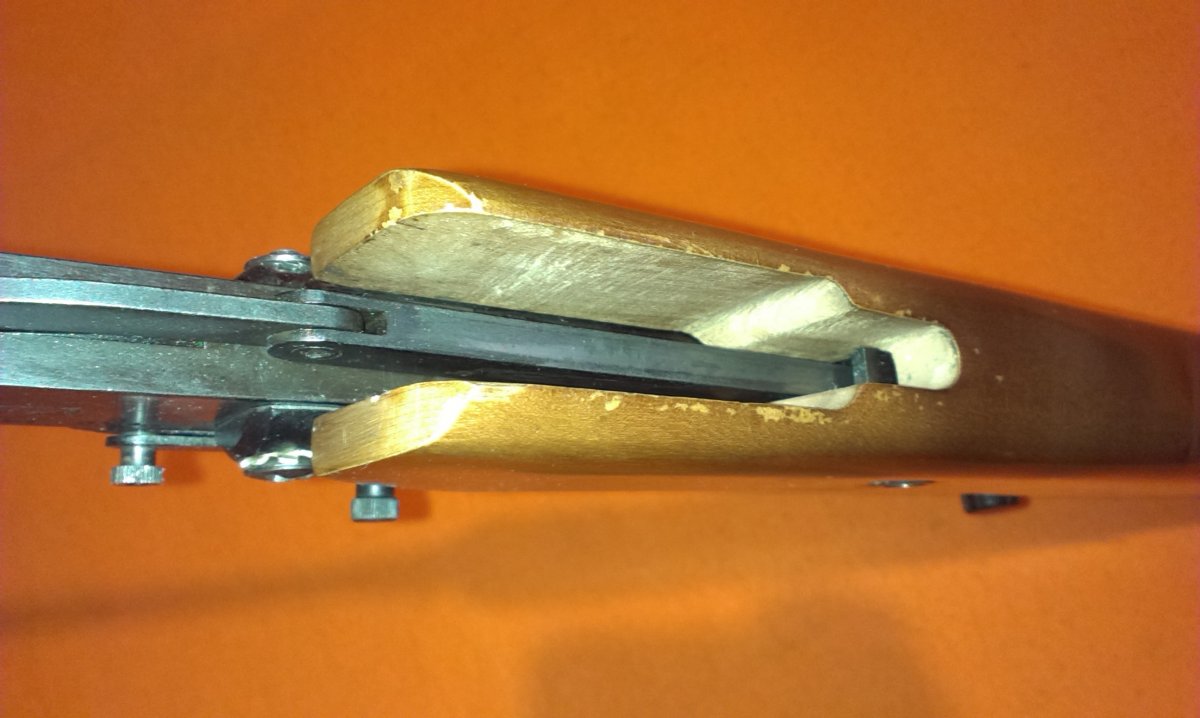 IMAG0536.jpg