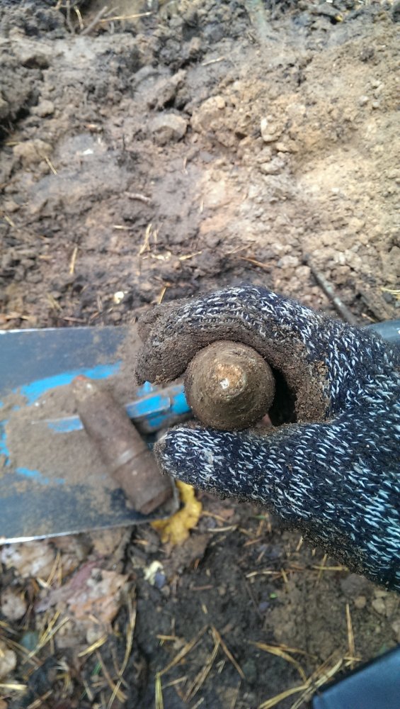 IMAG0542.jpg