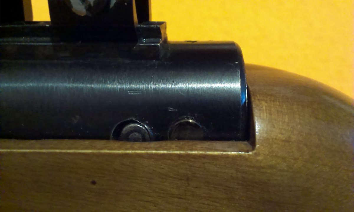 IMAG0544.jpg