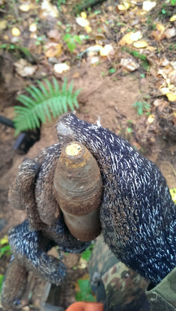 IMAG0548.jpg