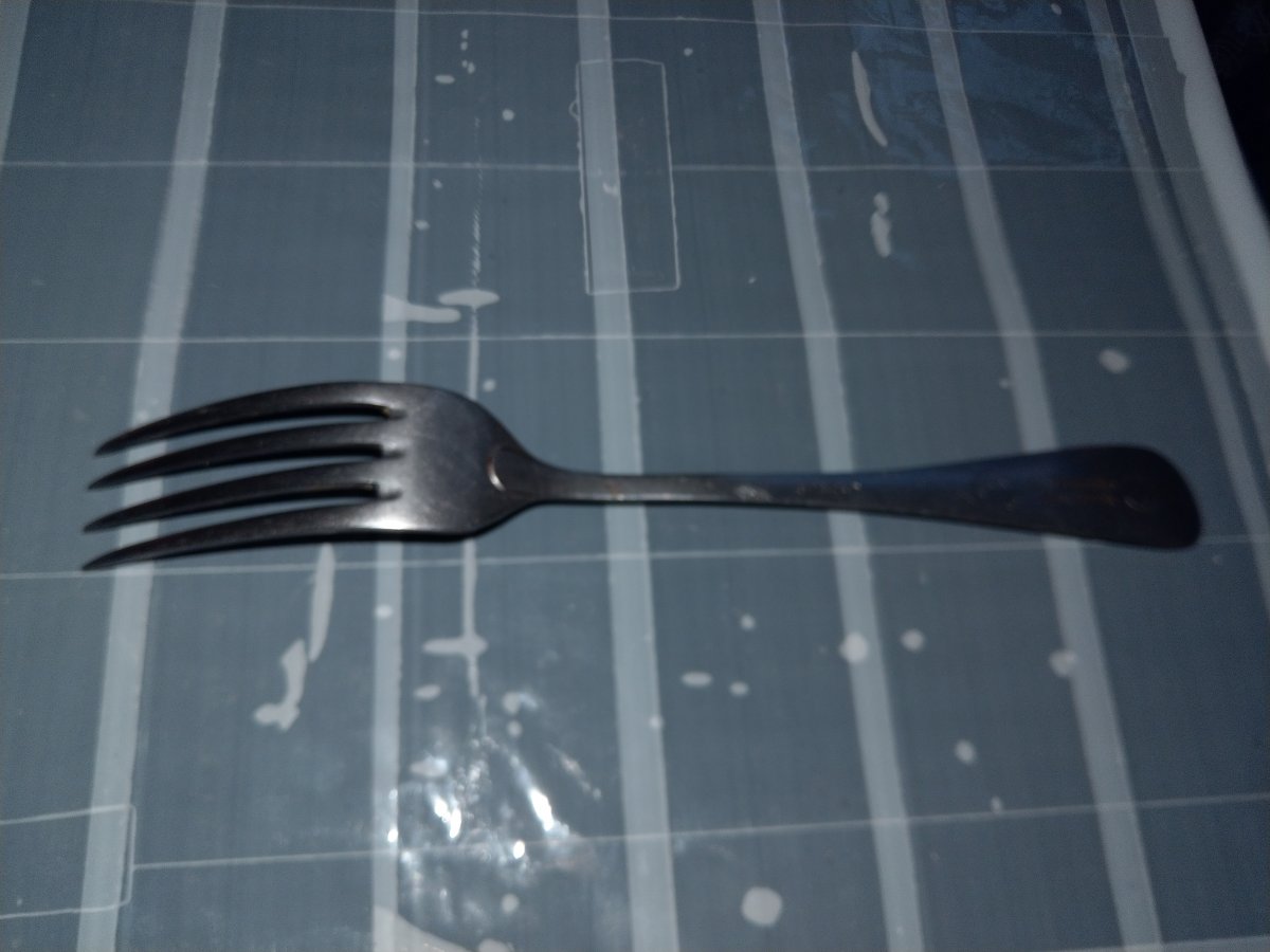 IMAG0600.jpg