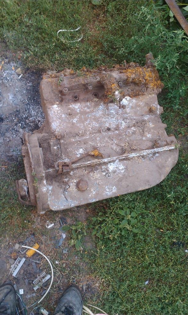 IMAG0772.jpg