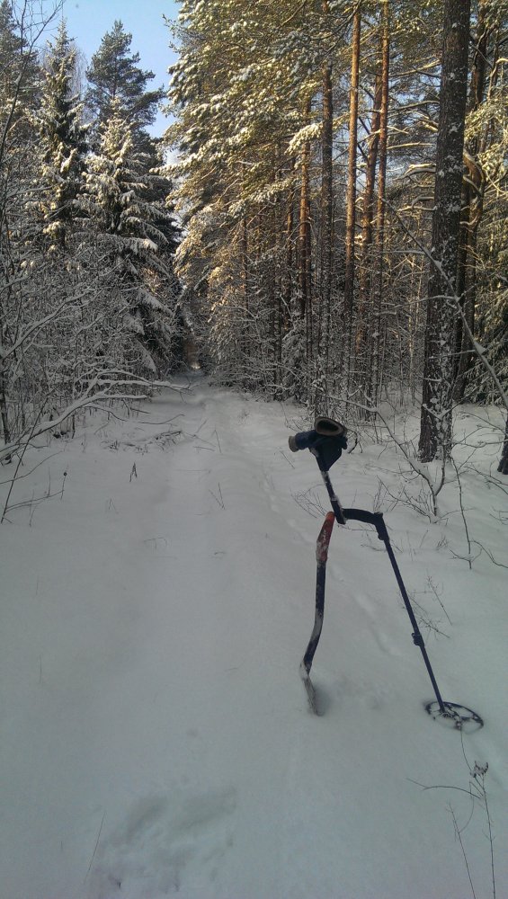 IMAG0967.jpg
