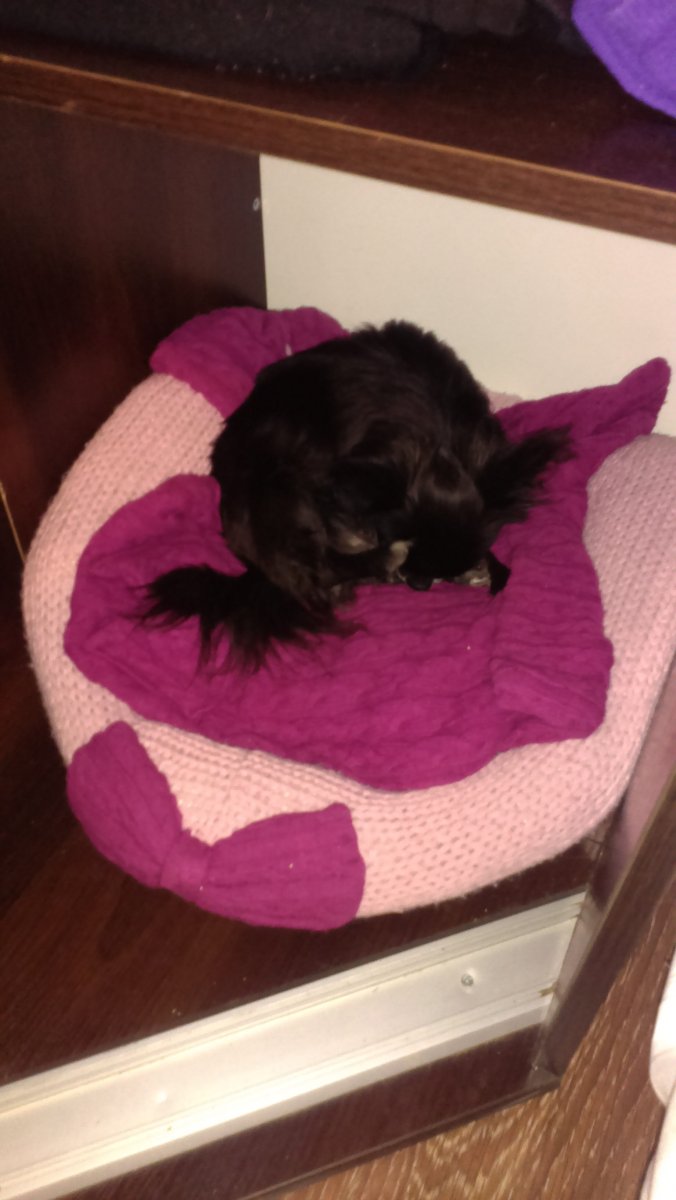 IMAG0977.jpg