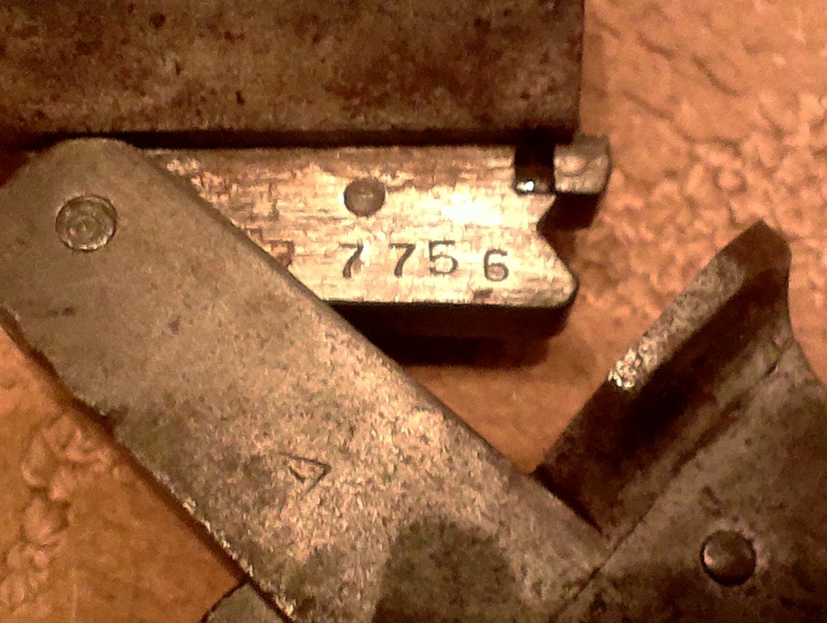 IMAG1041.jpg