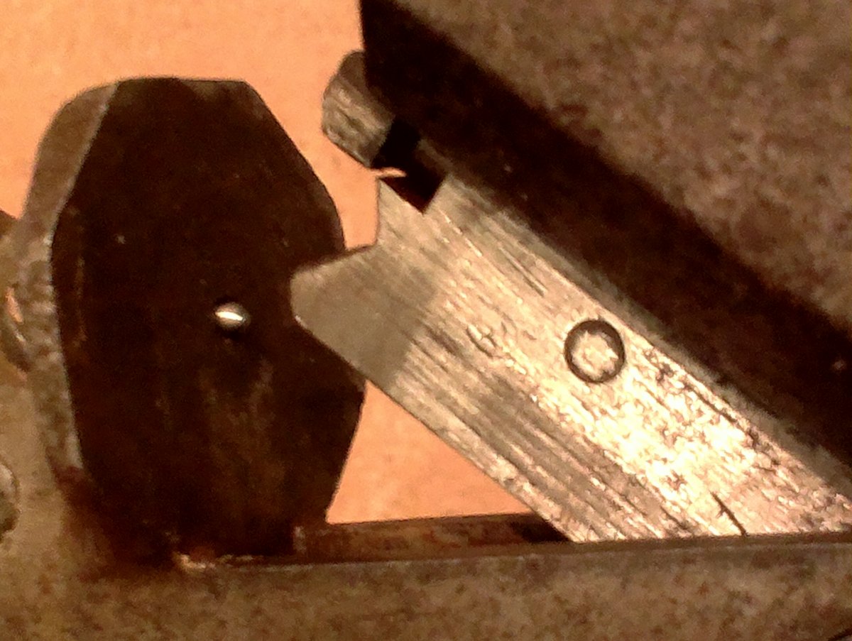 IMAG1051.jpg