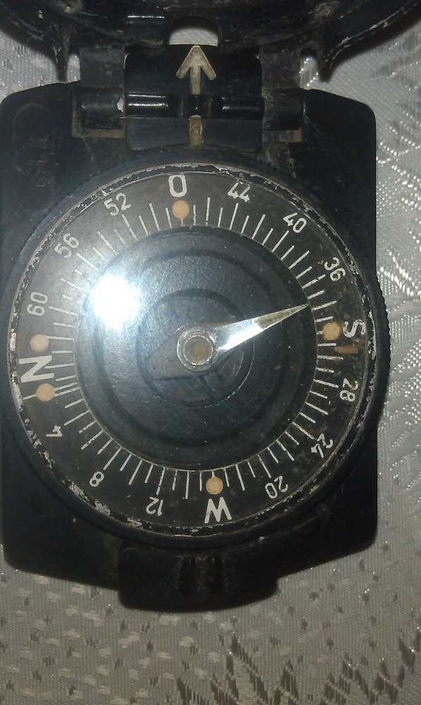 IMAG1274.jpg