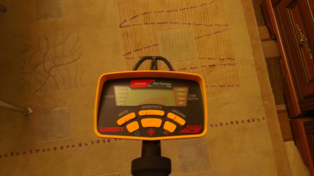 IMAG1306.jpg