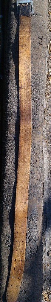 IMAG2501-1.jpg