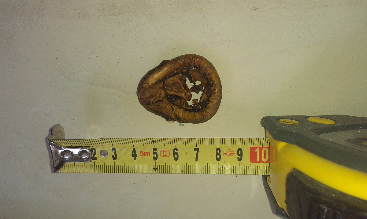 IMAG3385.jpg