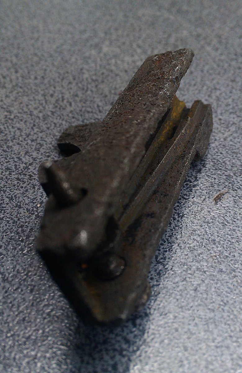 IMAG4445-1.jpg