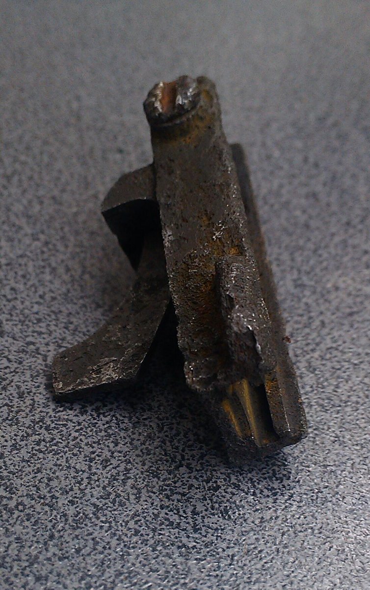 IMAG4448-1.jpg