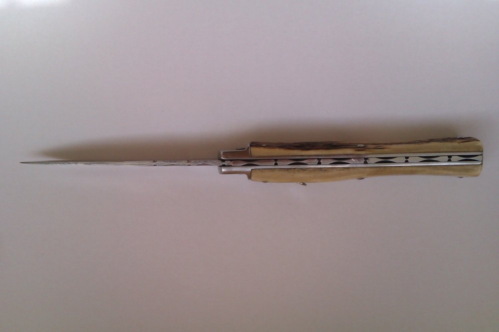 IMAG7580.jpg