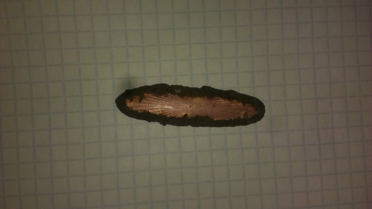 IMAG9305.jpg