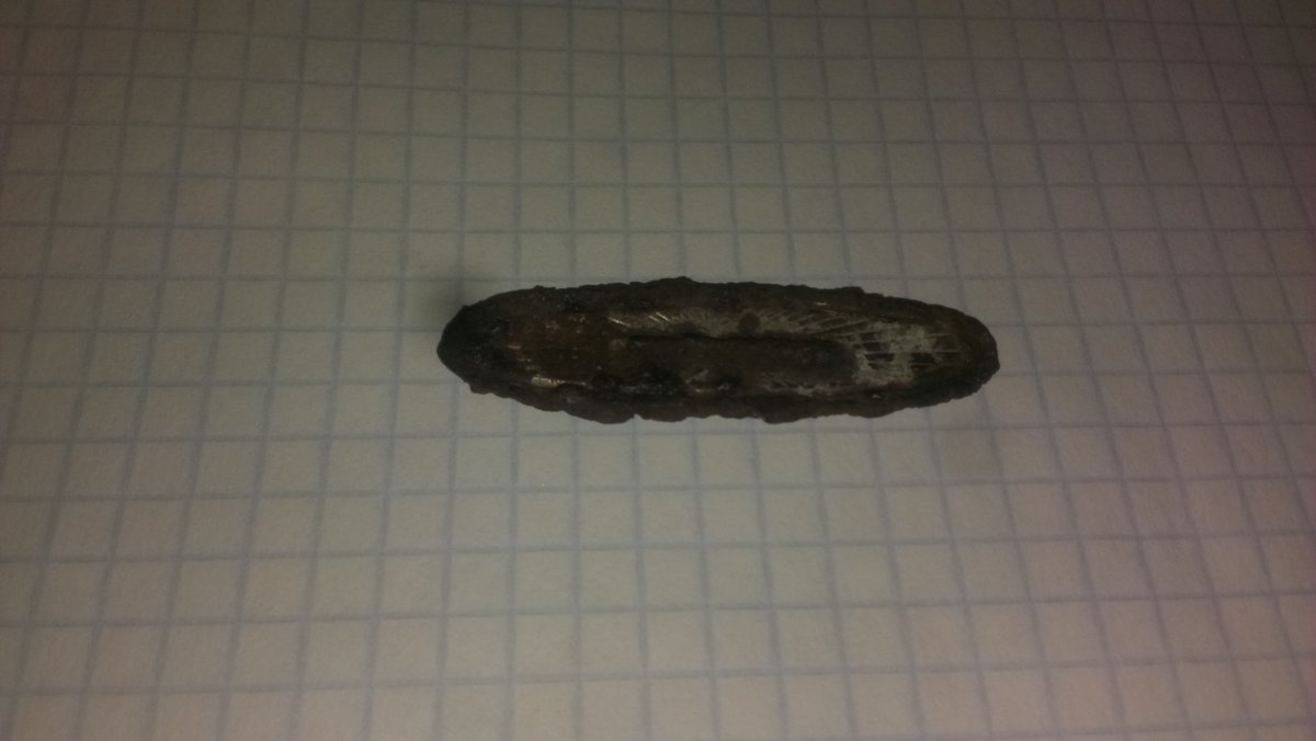 IMAG9308.jpg