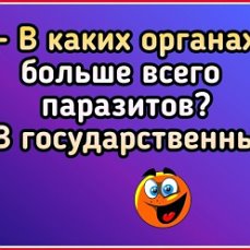 image (1).jpeg