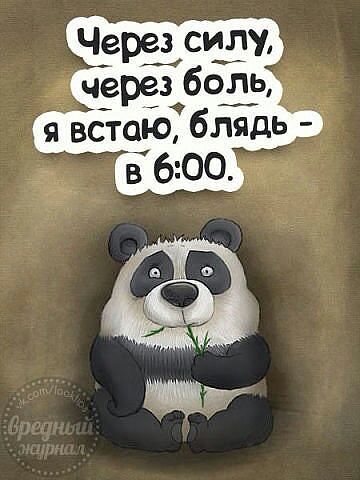 image (1).jpg