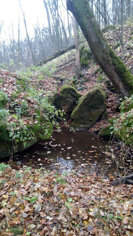 image (13).jpg