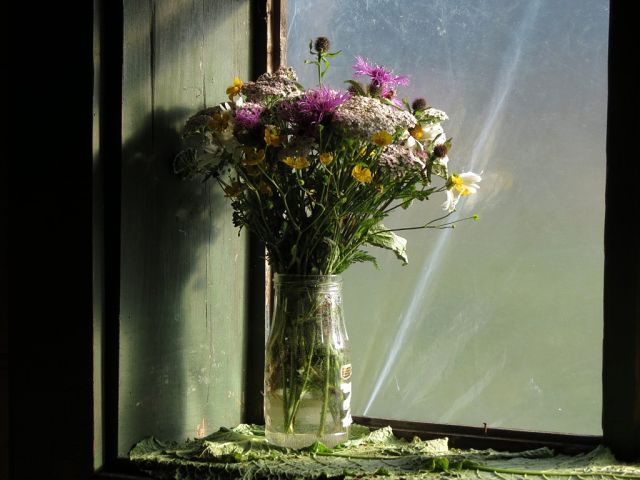 image (14).jpg