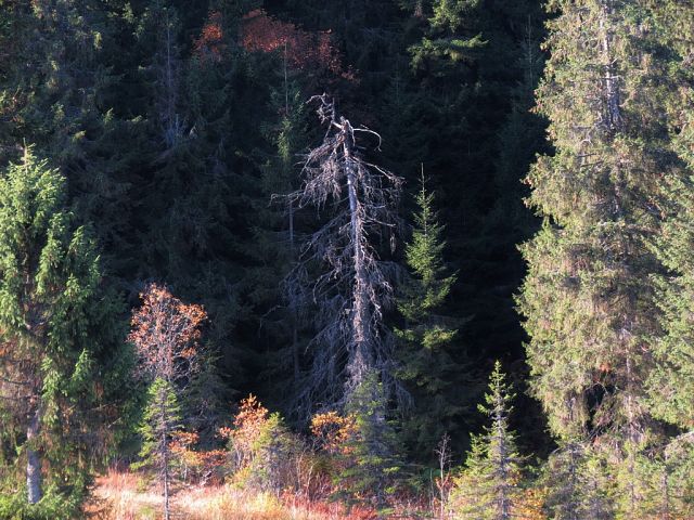 image (19).jpg