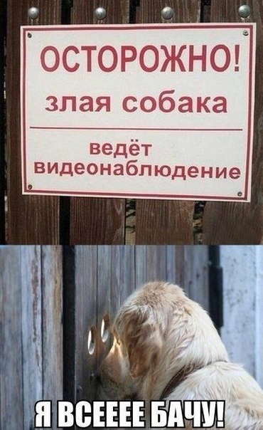 image (2).jpg