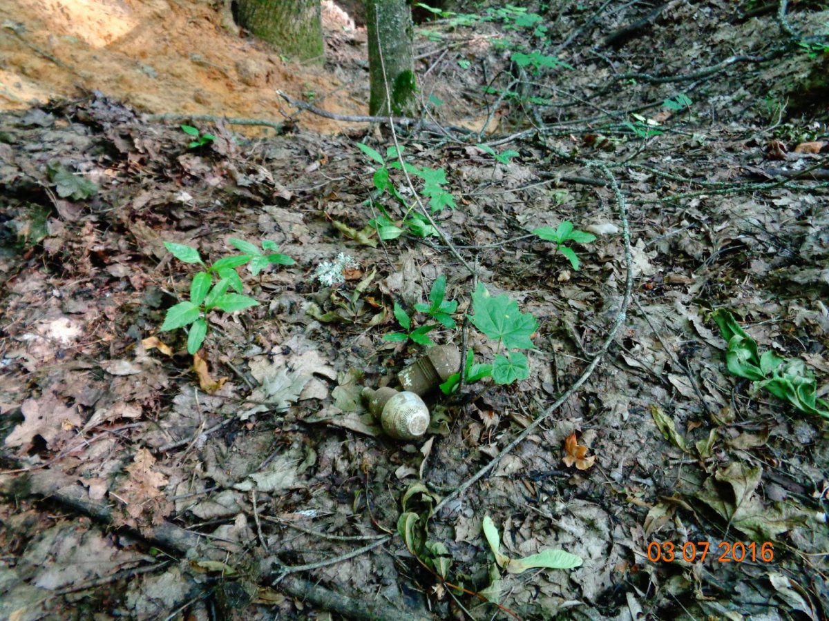image (2).jpg