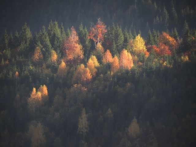 image (20).jpg
