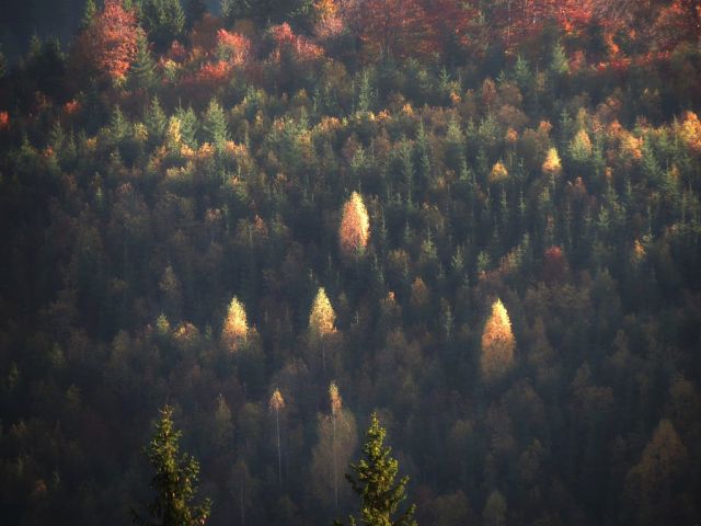 image (21).jpg