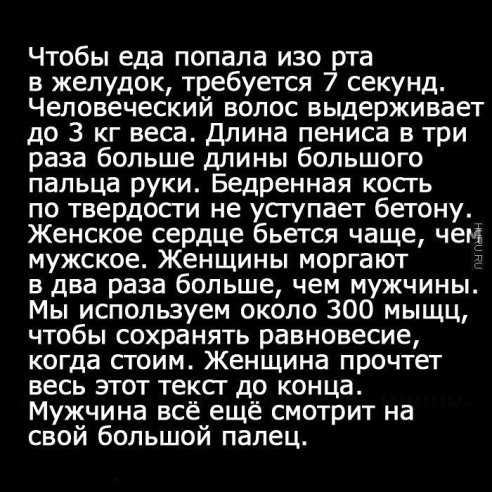 image-24.jpeg
