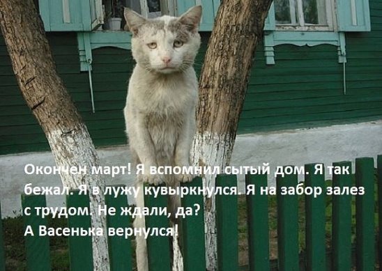 image 24.jpg