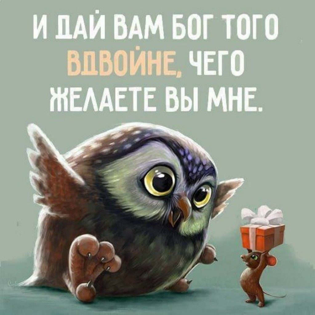 image (3).jpg