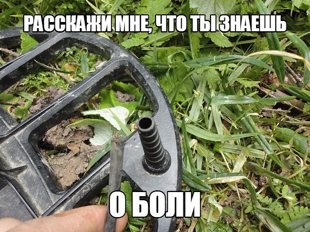 image (3).jpg