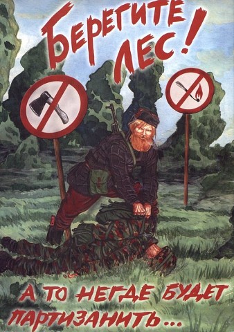 image-33.jpeg