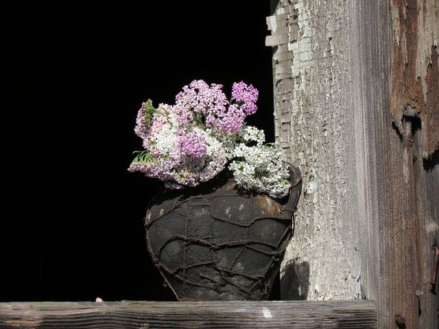 image (39).jpg