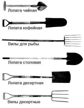 image (4).jpg