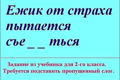 image-4.jpg