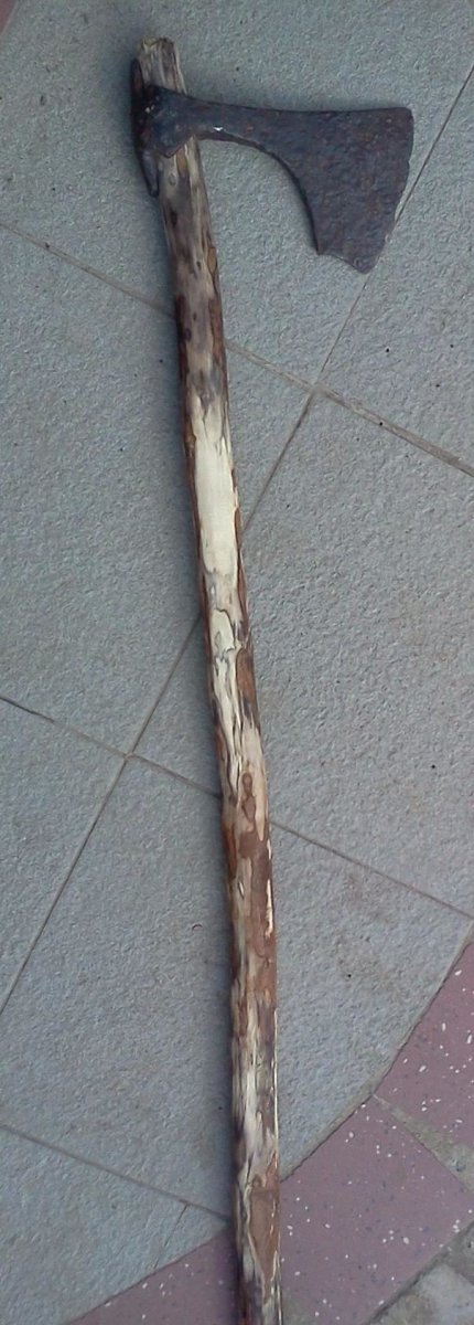 image (8).jpg