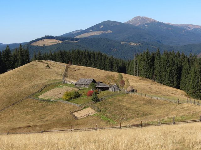 image (9).jpg